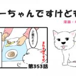 ちーちゃんですけどもっ【第353話】「とにかく時間がかかる」(ブログ)
