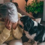 犬は『飼い主の病気』がわかる？どうやって判断しているの？知られざる感知力までご紹介(ブログ)