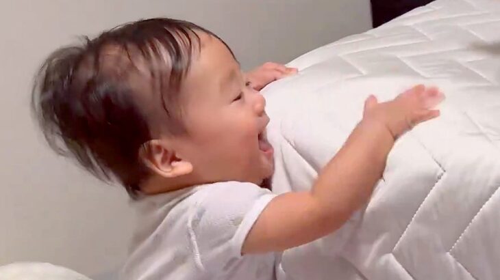 爆笑する赤ちゃん→ベッドの上に『犬』が乗っかって…人間顔負けな『育児のプロすぎる光景』に3万いいね「ほんまにすごい」「頭良すぎる」と称賛(ブログ)