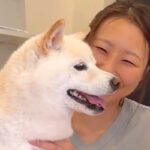 動物病院の先生のことが大好きな犬→治療が始まると…ワガママが爆発してしまう光景が123万再生「会話成立してて草」「中に人が入ってる？ｗ」(ブログ)