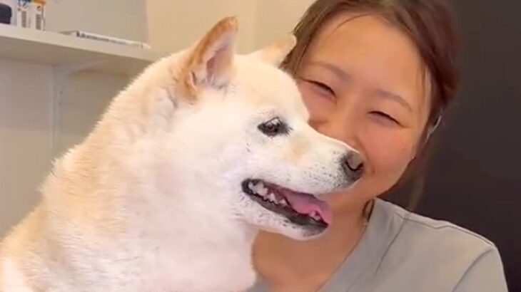 動物病院の先生のことが大好きな犬→治療が始まると…ワガママが爆発してしまう光景が123万再生「会話成立してて草」「中に人が入ってる？ｗ」(ブログ)
