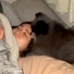 朝4時、寂しくてベッドに入ってきた犬→抱きしめてあげると…とんでもなく尊い『電池切れの瞬間』が19万再生「赤ちゃん」「幸せな夢見そう」(ブログ)