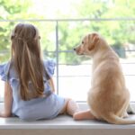 犬が『お気に入りの場所』ばかりで過ごす理由5選　習性を理解して信頼関係を深めよう(ブログ)