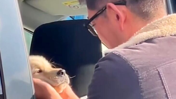 犬が亡くなり、毎日泣いていた父→内緒で『子犬』を迎えた結果…思わず涙が溢れる『宝物のような光景』が51万再生「泣いた…」「素敵な家族」(ブログ)