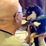 病気が発覚した『犬好きのお父さん』→家族みんなで闘病して…涙腺崩壊する『亡くなるまでの記録』に反響「今も見守ってる」「思い出は覚えてる」(ブログ)