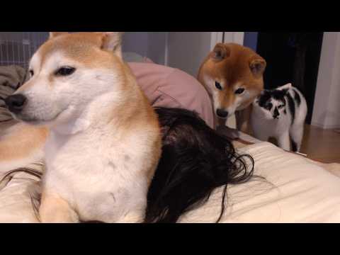 楽しいはずのお泊まり会で、思ってもない出来事が…(YouTube)