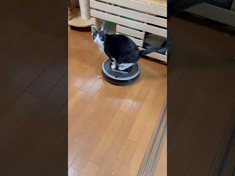 急所を狙う(YouTube)