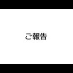 旅立った子猫について。(YouTube)