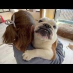 誤嚥性肺炎で緊急病院がある東京へ行ったまるこが本日帰ってきました！(YouTube)