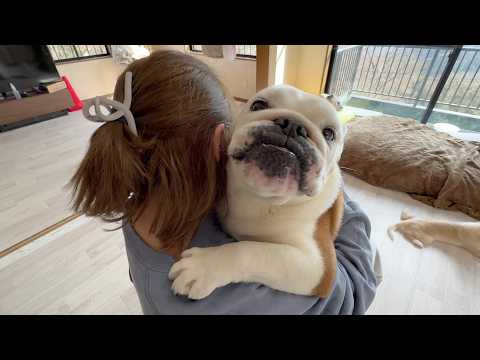 誤嚥性肺炎で緊急病院がある東京へ行ったまるこが本日帰ってきました！(YouTube)