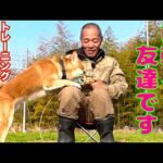 【噛み犬】誰でも簡単にできるマズル（口輪）トレーニング(YouTube)