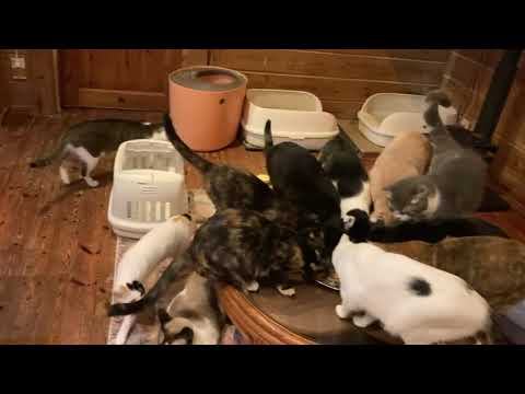 ママさん送信忘れ(YouTube)