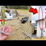 【大発明】あらゆる高所作業がこれ1本！自作万能ツール「ドラキチ棒」が便利すぎた(YouTube)