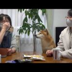 3.11を忘れないために、母にあの日の話を聞きました。(YouTube)