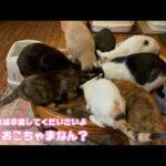 まだおこちゃまなん？ いい加減卒業して欲しいんですけど  2026 03 24 1(YouTube)