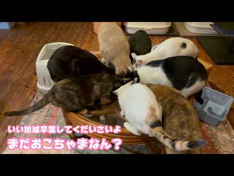 まだおこちゃまなん？ いい加減卒業して欲しいんですけど  2026 03 24 1(YouTube)