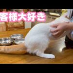 お客様大好き  イカちゃん  2026 03 25 2(YouTube)