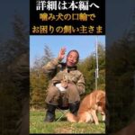 噛み犬の口輪でお悩みの飼い主さま(YouTube)