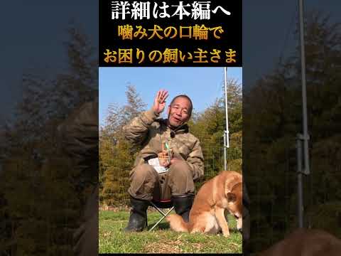 噛み犬の口輪でお悩みの飼い主さま(YouTube)
