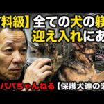 【有料級】全ての犬の躾は迎え入れにある(YouTube)