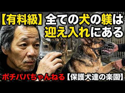 【有料級】全ての犬の躾は迎え入れにある(YouTube)