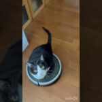 これって調子悪いでしょ(YouTube)