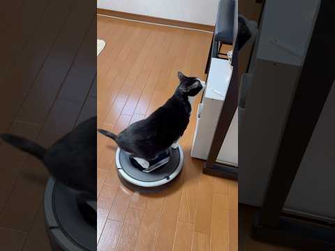 そこに何があるの？(YouTube)