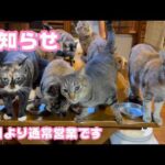 お知らせ  本日より通常営業させて頂きます  2026 03 19 1(YouTube)