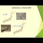 身近な水辺保全講演会「ハクチョウと旅するスワンプロジェクト –知る、考える、水鳥のくらし」(YouTube)