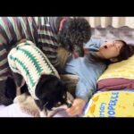 ママが起きないから噛んだり踏んだりしたら起きた時とんでもない光景に・・・(YouTube)