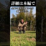 全国で野犬でお困りの方！　#犬のいる暮らし #保護犬 #チャンネル登録お願いします #野犬(YouTube)