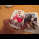 この先ずっと忘れない(YouTube)