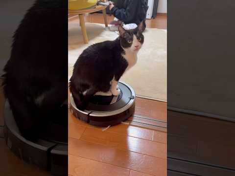 動かんねんけど(YouTube)