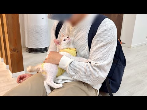 保護してからずっと面倒見てくれてた恩人と久しぶりに再会したら子猫がこうなっちゃいました…(YouTube)