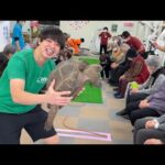 【デイサービス施設】で開催されたカメレースに爬虫類YouTuberとして本気で挑んでみた結果…(YouTube)