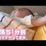 寝落ちするですぞ～  猫娘さんママやっております  2026 03 21 2(YouTube)