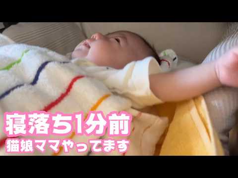 寝落ちするですぞ～  猫娘さんママやっております  2026 03 21 2(YouTube)