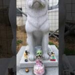 昨日届いてます！ありがとうございます(YouTube)