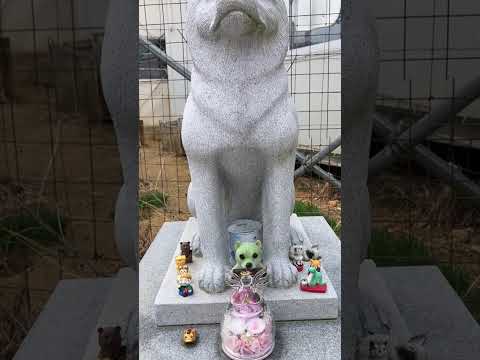 昨日届いてます！ありがとうございます(YouTube)