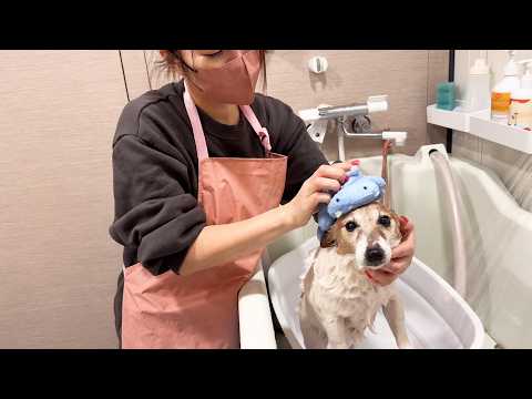 水道管破裂したけどシャンプー強行しました(YouTube)