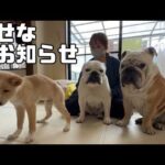 皆様に幸せなご報告があります♪(YouTube)