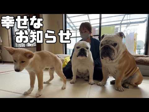 皆様に幸せなご報告があります♪(YouTube)