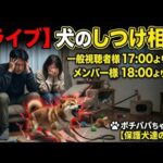 【ライブ】犬のしつけ相談　一般視聴者様17時よりメンバー様18時より配信(YouTube)