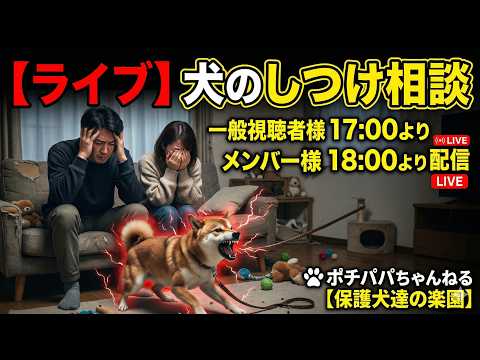 【ライブ】犬のしつけ相談　一般視聴者様17時よりメンバー様18時より配信(YouTube)