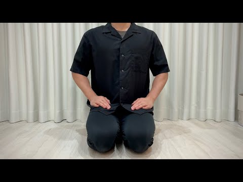 TNR予定だった子猫たちについて。(YouTube)