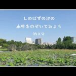 しのばずの池をのぞいてみよう(YouTube)