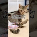 欲しかったのは「生きれる場所」動機はそれだけでした。(YouTube)