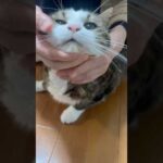 ハナクソをツマム(YouTube)