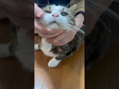 ハナクソをツマム(YouTube)