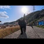 猫島の防波堤に座っていたら黒猫がトコトコ来て、なぜか隣に座ってくれた(YouTube)